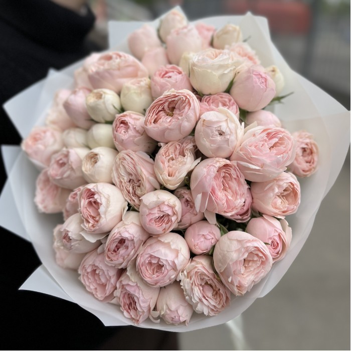 19 кустовых розовых роз Мансфилд парк 50см