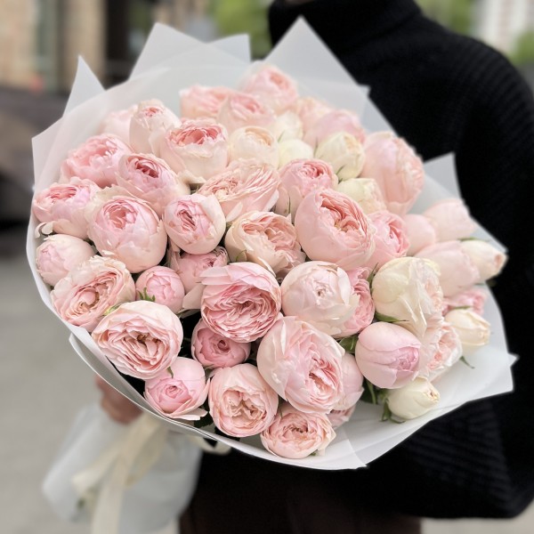 19 кустовых розовых роз Мансфилд парк 50см