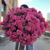 35 кустовых роз Эйлин 70 см