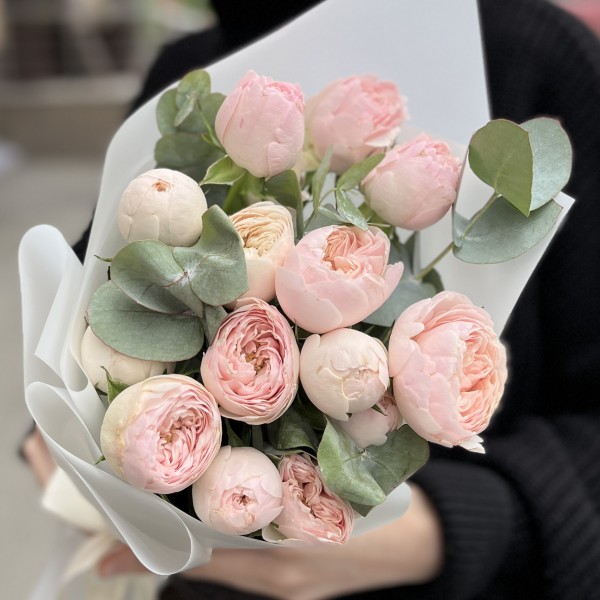 5 кустовых пионовидных роз Мансфилд парк 50см