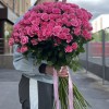 51 кустовая роза Эйлин 70 см