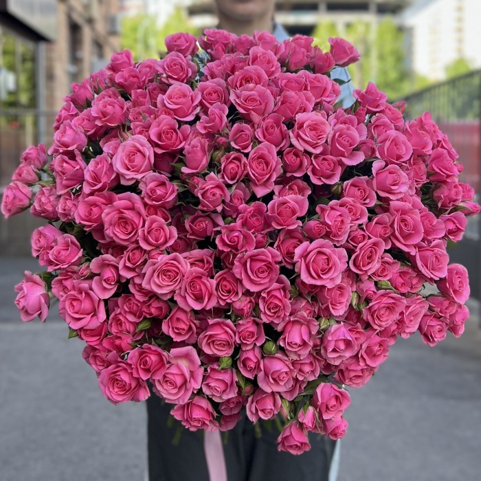 51 кустовая роза Эйлин 70 см