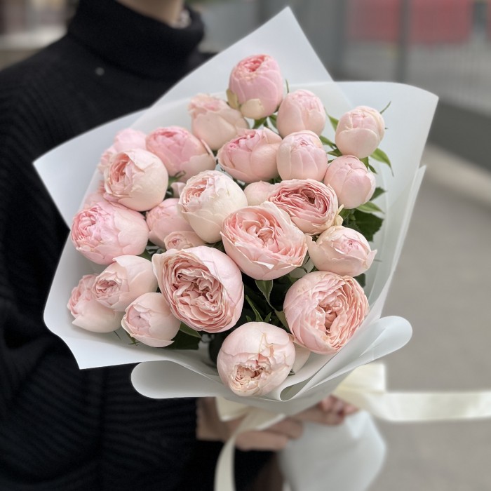 7 кустовых пионовидных роз Мансфилд парк 50см