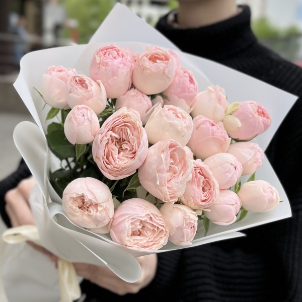 7 кустовых пионовидных роз Мансфилд парк 50см