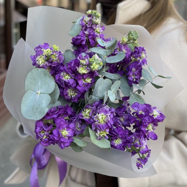 9 фиолетовых маттиол с эвкалиптом