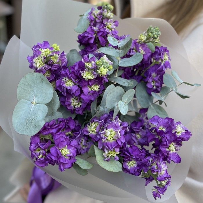 9 фиолетовых маттиол с эвкалиптом