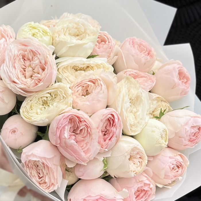 9 кустовых пионовидных роз Мансфилд парк 50см