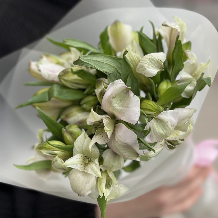 Букет из 5 бело-фиолетовых альстромерий