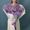 25 фиолетовых гипсофил