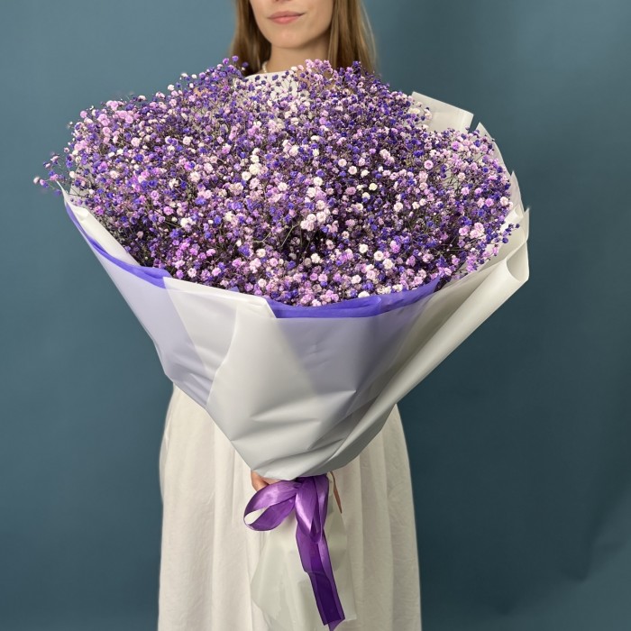 25 фиолетовых гипсофил