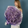 25 фиолетовых гипсофил