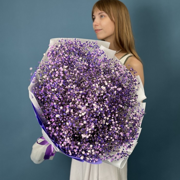 25 фиолетовых гипсофил