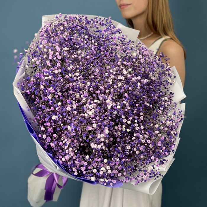 25 фиолетовых гипсофил