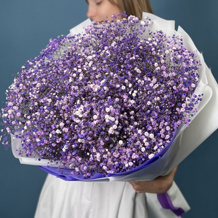 25 фиолетовых гипсофил