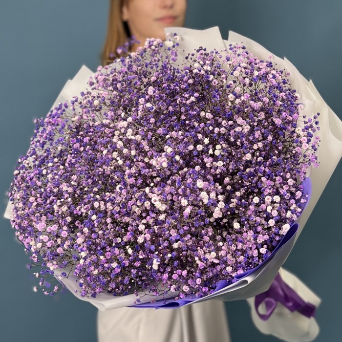 25 фиолетовых гипсофил