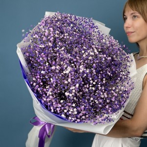 25 фиолетовых гипсофил