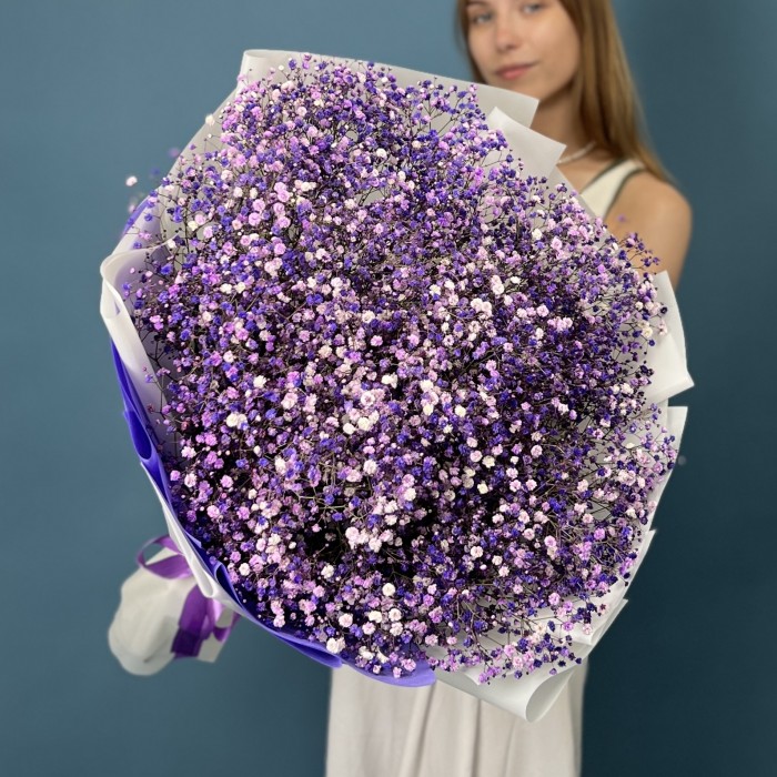 25 фиолетовых гипсофил