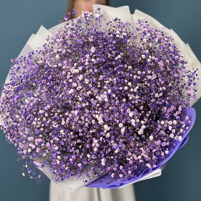 25 фиолетовых гипсофил