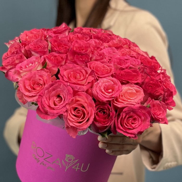 51 малиновая роза Дабл Дейт в коробке