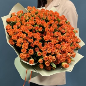 51 кустовая оранжевая роза Чарминг Бейб 40 см