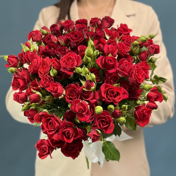 Кустовая красная роза Рубикон 40 см