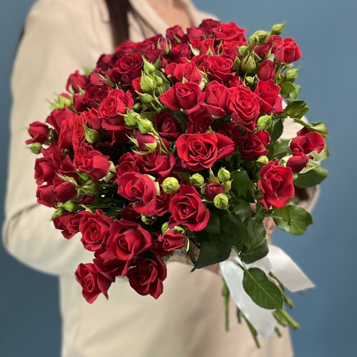 Кустовая красная роза Рубикон 40 см