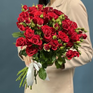 Кустовая красная роза Рубикон 40 см