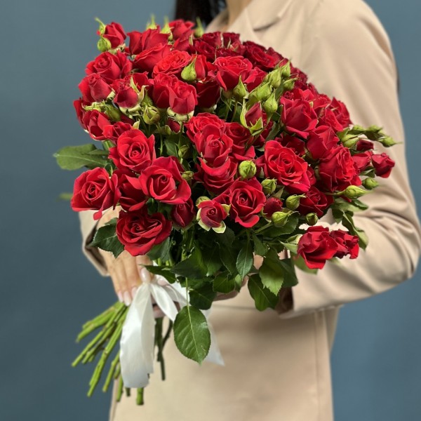 Кустовая красная роза Рубикон 40 см