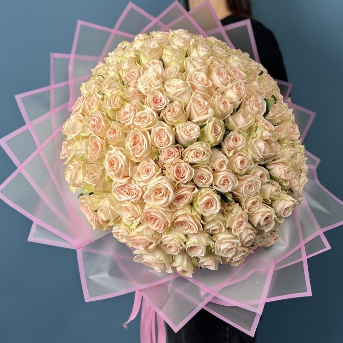 151 нежная роза Веддинг Роуз