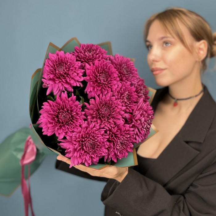 11 фиолетовых хризантем Ламира