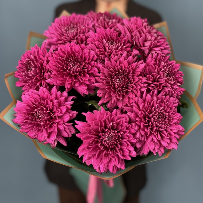 11 фиолетовых хризантем Ламира