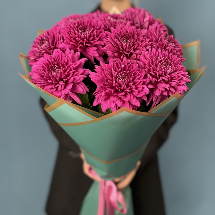 11 фиолетовых хризантем Ламира