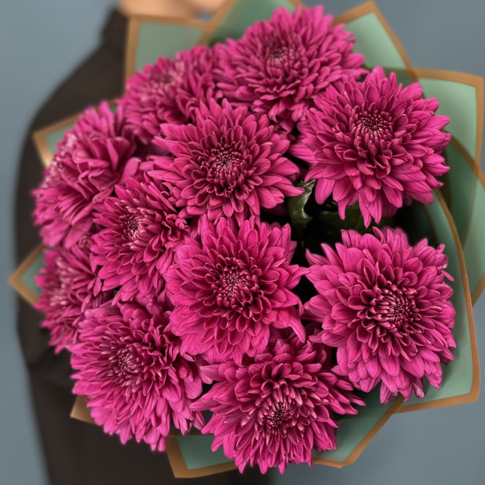 11 фиолетовых хризантем Ламира