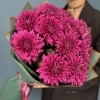 11 фиолетовых хризантем Ламира