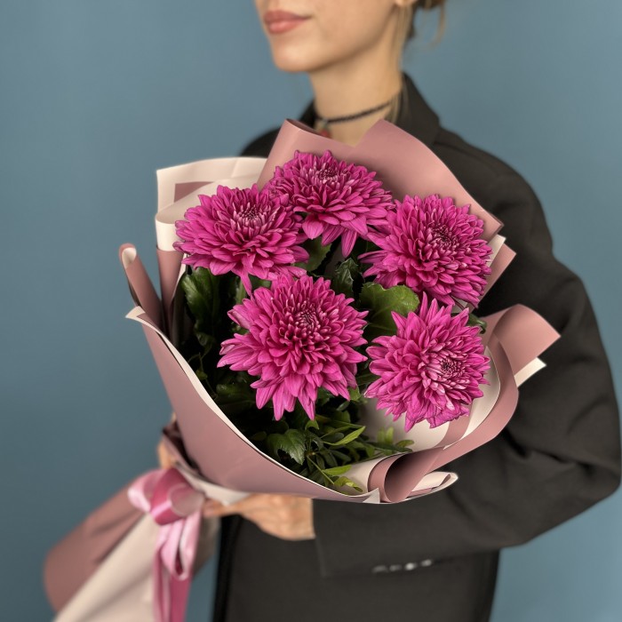 5 фиолетовых хризантем Ламира