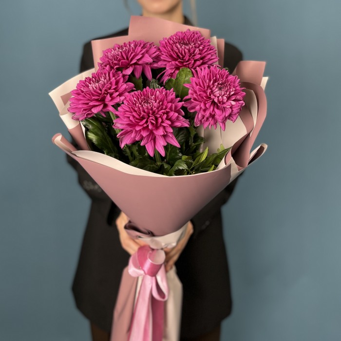 5 фиолетовых хризантем Ламира