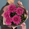 5 фиолетовых хризантем Ламира