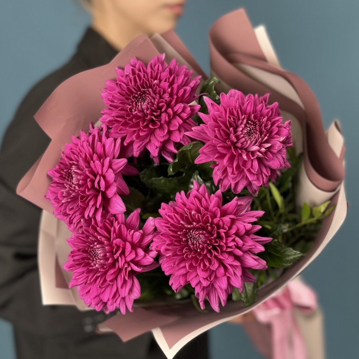 5 фиолетовых хризантем Ламира