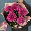 5 фиолетовых хризантем Ламира