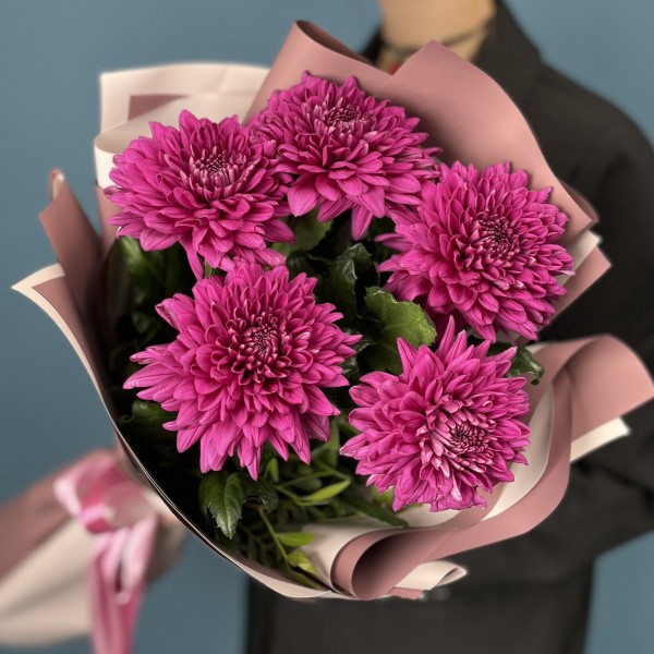 5 фиолетовых хризантем Ламира