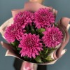 5 фиолетовых хризантем Ламира