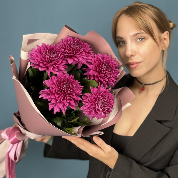 5 фиолетовых хризантем Ламира