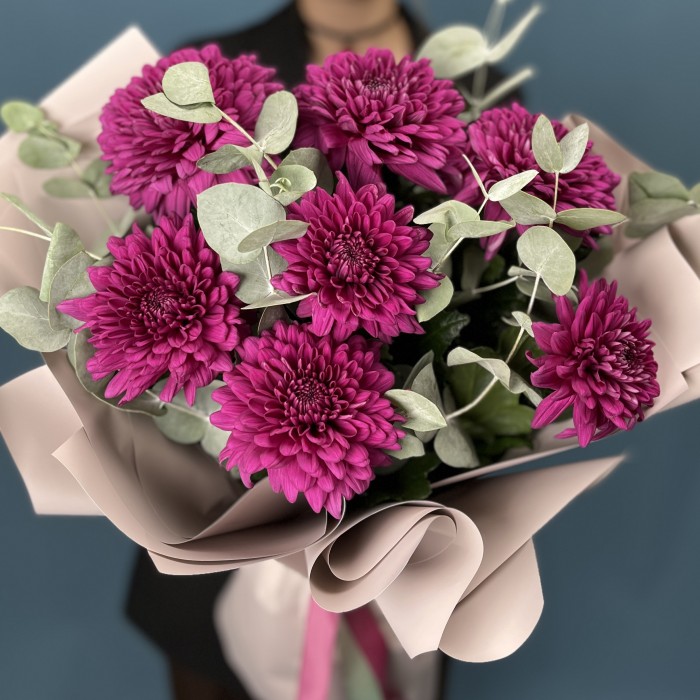 7 фиолетовых хризантем Ламира