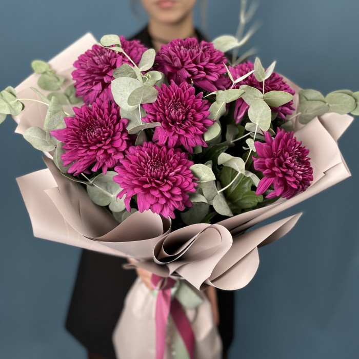 7 фиолетовых хризантем Ламира