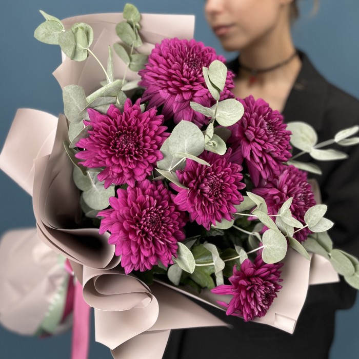 7 фиолетовых хризантем Ламира