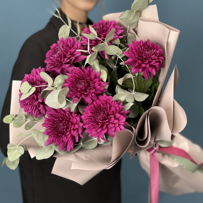 7 фиолетовых хризантем Ламира