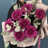 7 фиолетовых хризантем Ламира