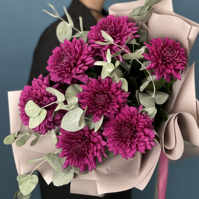 7 фиолетовых хризантем Ламира