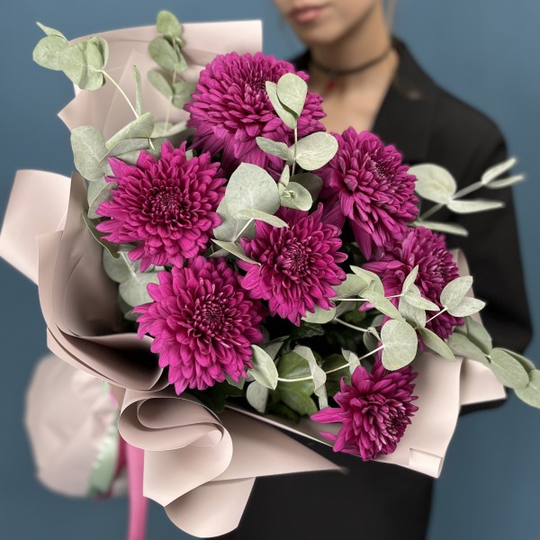 7 фиолетовых хризантем Ламира