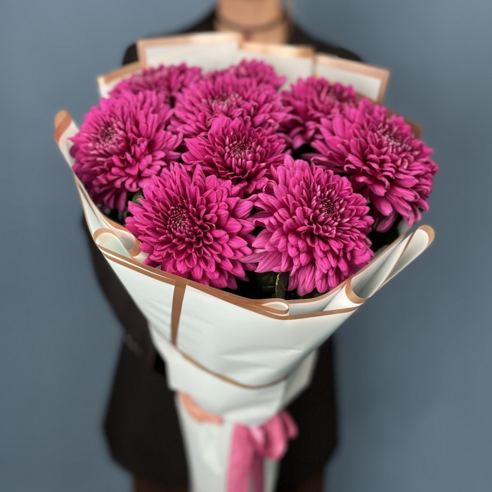 9 фиолетовых хризантем Ламира